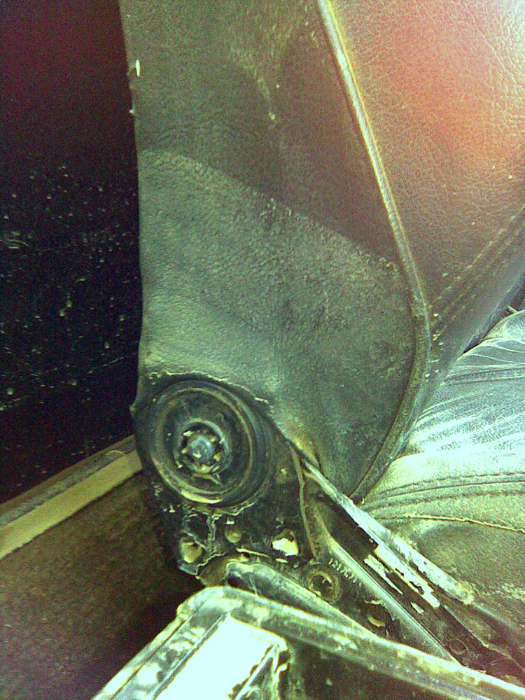 Dr4.jpg