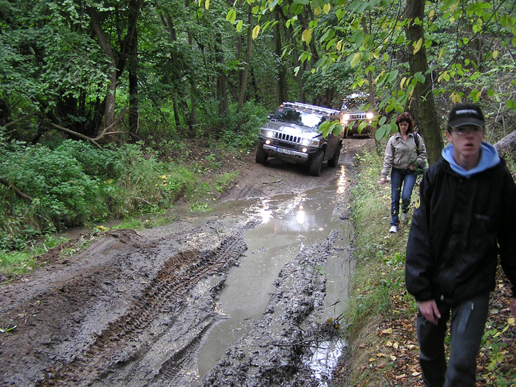 P1010342.jpg
