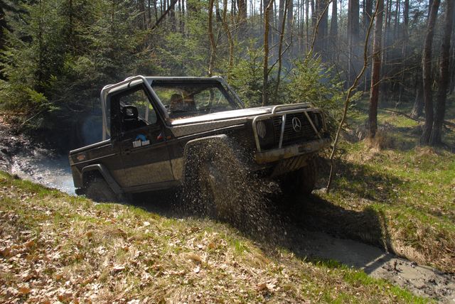 DSC_3545.jpg